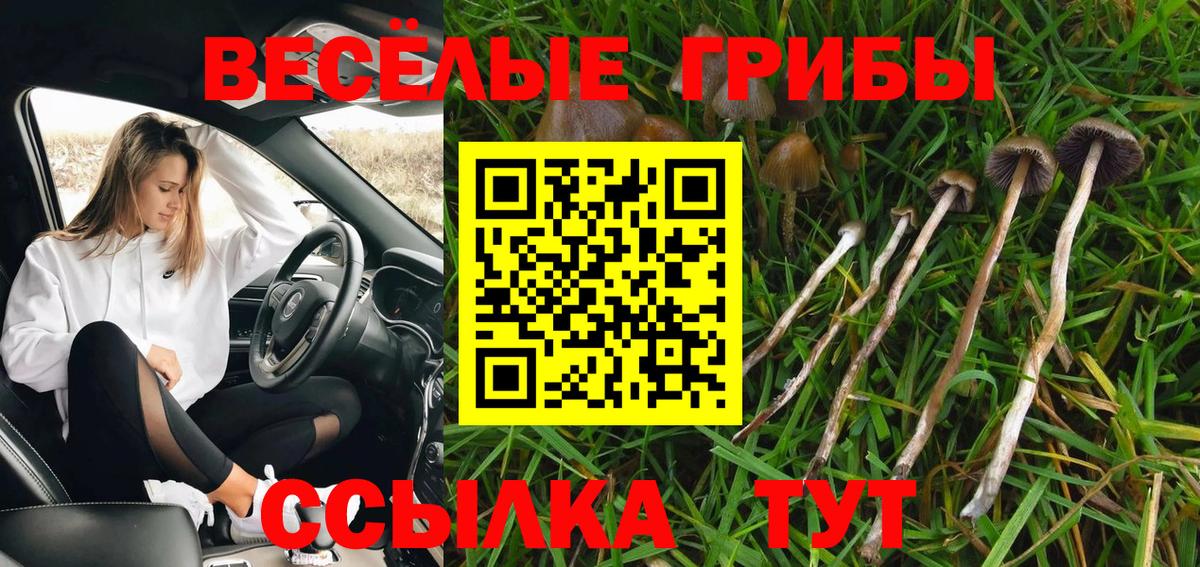 Северск  Галлюциногенные грибы мицелий  Вход с VPN  Галлюциногенные грибы мухоморы 